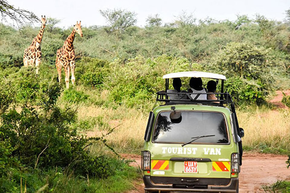 Tulambule Drive in Murchison Falls Park