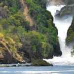 Murchison Falls in Uganda