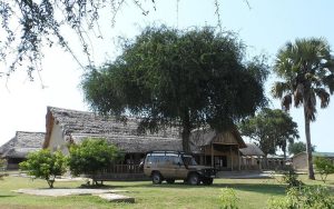 Pakuba Lodge