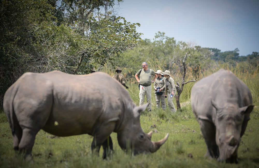 Rhino Tracking in Uganda